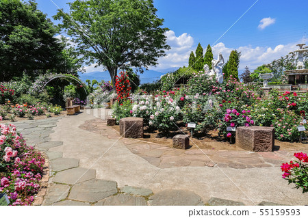 [山梨縣]春天的藥草園旅行日記，勝沼園的玫瑰園 55159593