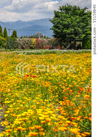 [山梨縣]春天藥草園旅行日記，勝沼園 55159640