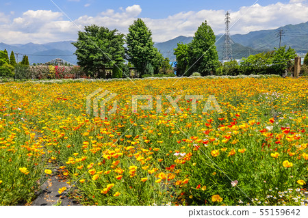 [Yamanashi] Spring Herb Garden Travel Diary, Katsunuma Garden 55159642