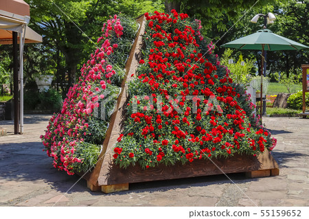 [Yamanashi] Spring Herb Garden Travel Diary Katsunuma Garden Carnation Tower 55159652