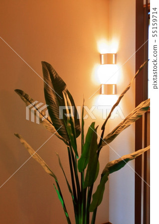 間接照明 55159714