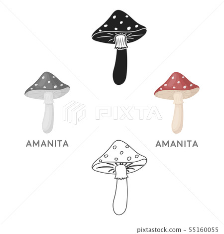 Amanita icon in cartoon,black style isolated on white background. Mushroom symbol stock vector 55160055