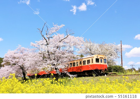 Chiba Kosen Railway in Spring Chiba Kosen Railway in Spring 55161118