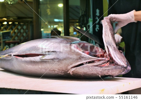 Tuna dismantling 55161146