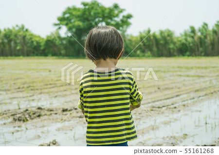 Agricultural experience Children who plant rice 55161268