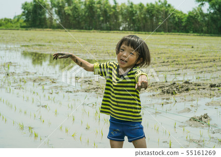 Farming experience Children planting rice 55161269