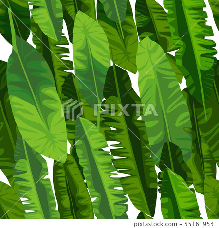 Banana leaf seamless pattern. Abstract exotic 55161953