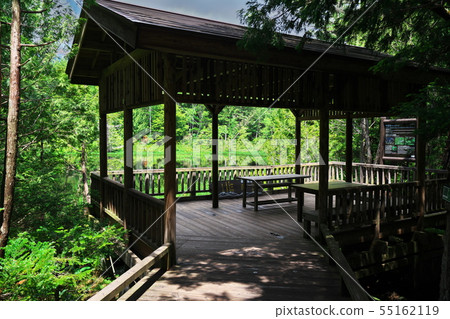 新鮮的綠色Ushidome池塘和洞爺 新鮮的綠色Ushidome池塘和洞爺 55162119