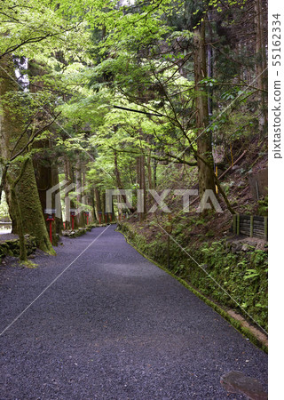 Approach to Kifune Shrine Okumiya 55162334