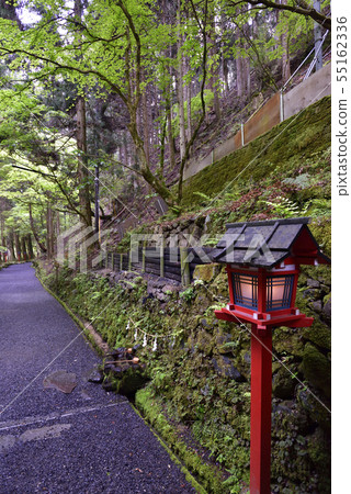 Approach to Kifune Shrine Okumiya Approach to Kifune Shrine Okumiya 55162336