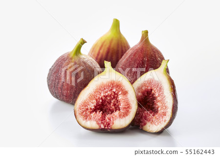 Fig-no flower 55162443