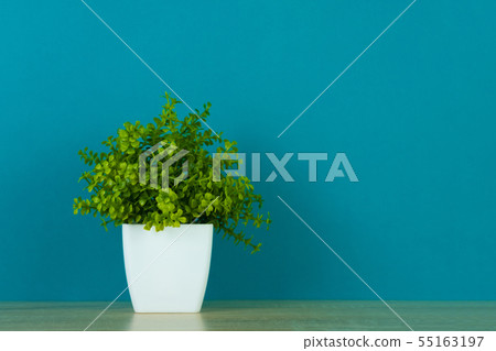 Little decorative tree and flower bouquet in white Little decorative tree and flower bouquet in white 55163197