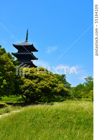 Bicaku Kokubunji Five-storied pag Bicaku Kokubunji Five-storied pag 55164109