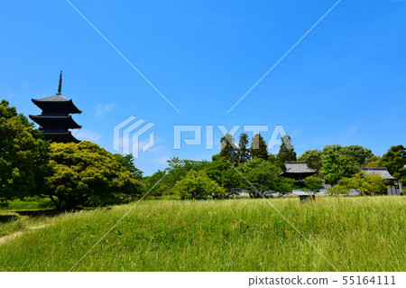 備中國分寺 備中國分寺 55164111