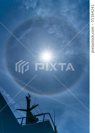Daylight Daylight 55164241