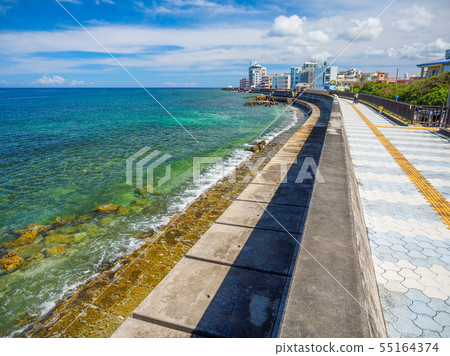 沙海岸 沙海岸 55164374