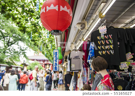 [Asakusa Senso-ji Temple Hoozukiki City] 55165027