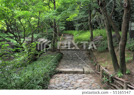 天鵝花園景觀/夏季 55165547