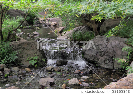 Swan Garden Point View / Summer 55165548