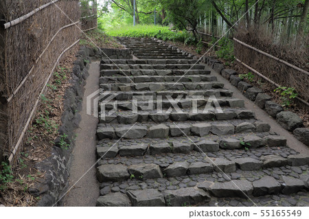 天鵝花園景觀/夏季 55165549