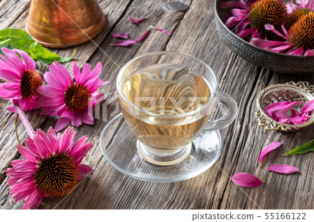 A cup of herbal tea with fresh echinacea flowers A cup of herbal tea with fresh echinacea flowers 55166122