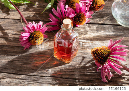 A bottle of tincture with fresh echinacea flowers A bottle of tincture with fresh echinacea flowers 55166123