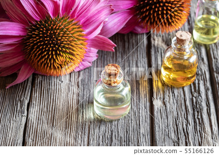 Bottles of echinacea essential oil with echinacea Bottles of echinacea essential oil with echinacea 55166126