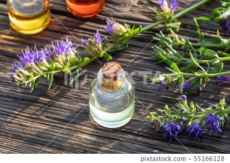 Bottles of hyssop essential oil with hyssop 55166128