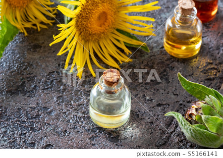 Bottles of essential oil with fresh elecampane Bottles of essential oil with fresh elecampane 55166141