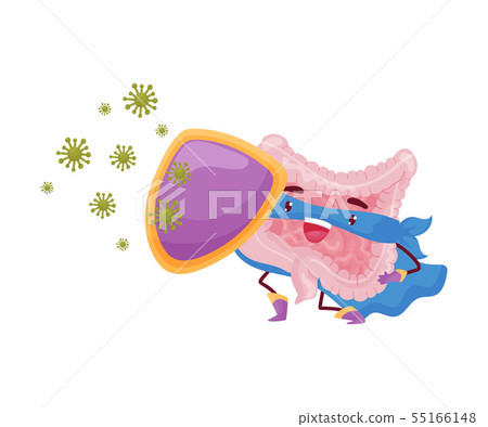 Cartoon intestine is protected by a shield from microbes. Vector illustration on white background. Cartoon intestine is protected by a shield from microbes. Vector illustration on white background. 55166148