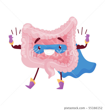 Cartoon Intestine Shows The Muscles In His Stock Illustration 55166152 Pixta