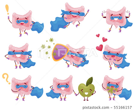 Set of images of cartoon intestine. Vector illustration on white background. 55166157