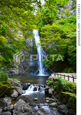 Minoh Otaki鮮綠色 Minoh Otaki鮮綠色 55166631