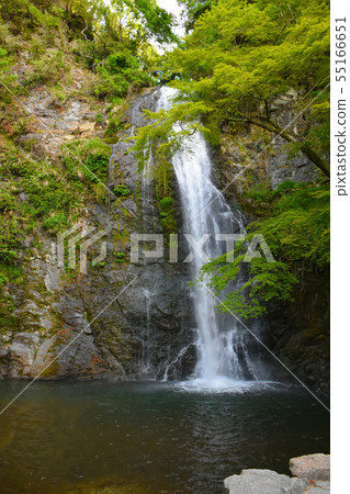 Minoh Otaki Fresh green Minoh Otaki Fresh green 55166651