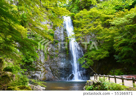 美濃瀑布 55166971