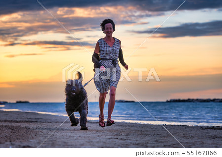 Dog with his mistress running on the beach by the Dog with his mistress running on the beach by the 55167066