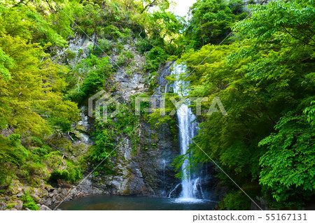 Minoh Otaki Fresh green Minoh Otaki Fresh green 55167131