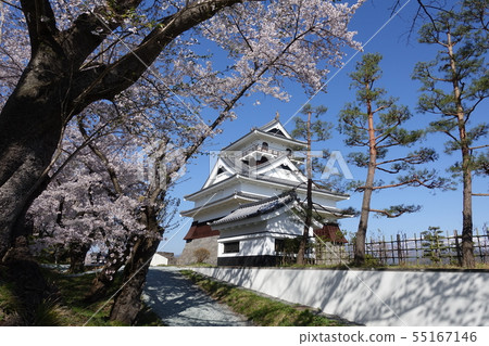 神山城和櫻花 55167146