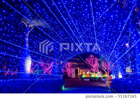 沖繩東南植物園照亮了長廊照明 55167165