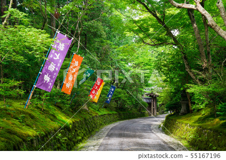 Fresh green of Kyoto Akayama 55167196