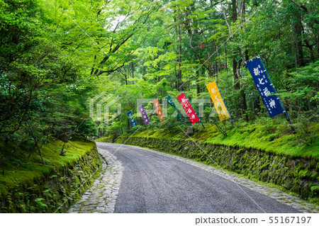 京都Akayama新綠色 京都Akayama新綠色 55167197