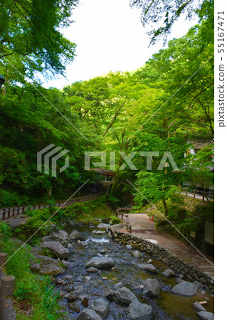 明治森林箕面國家紀念碑公園箕面河谷 55167471