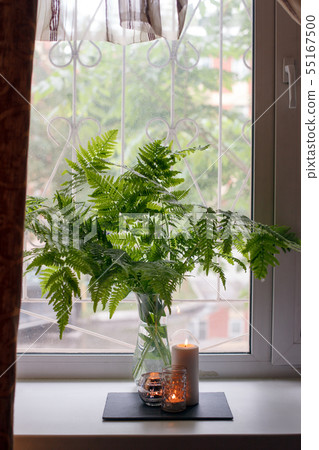 Living room decoration, cozy home, romantic relax 55167500