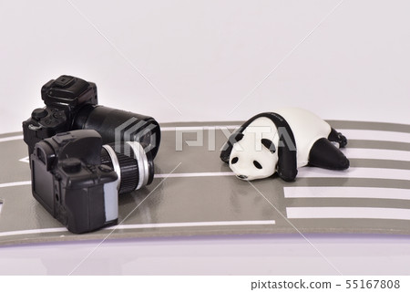 Panda and the road and the camera 55167808