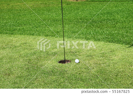 Park golf green Park golf green 55167825