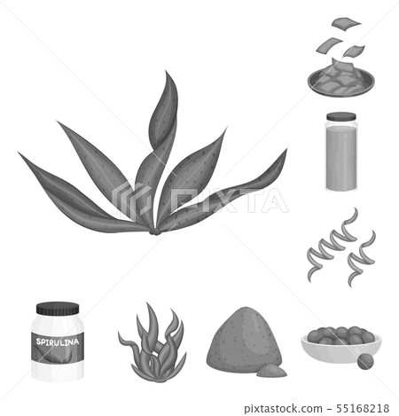 Vector illustration of plant and weed symbol. Collection of plant and sea stock vector illustration. Vector illustration of plant and weed symbol. Collection of plant and sea stock vector illustration. 55168218