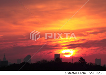 Sunrise Shinjuku Fukutoshin 55168236