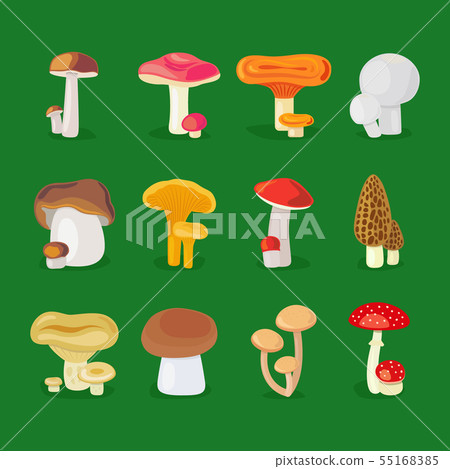 Edible mushrooms and toadstools icons Edible mushrooms and toadstools icons 55168385