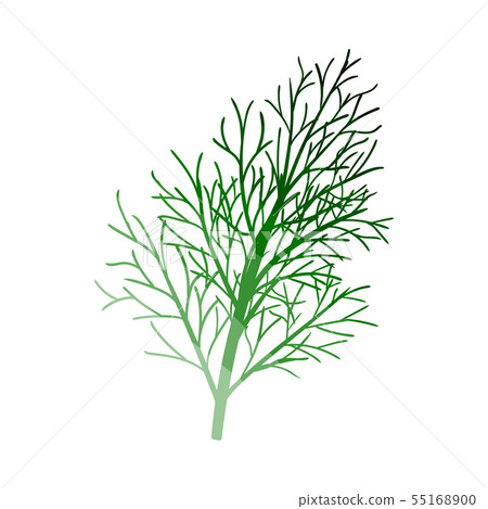 Dill Icon Dill Icon 55168900
