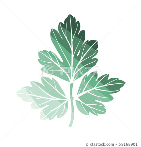 Parsley Icon 55168901